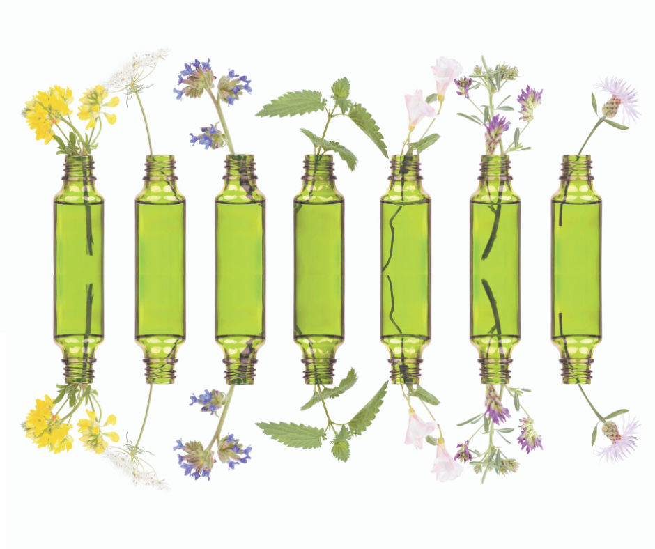 20 legálnych byliniek, ktoré sa môžu odparovať v aromaterapii