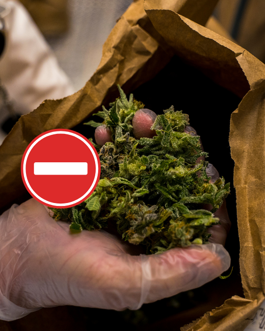 Kto v ČR nechce trh s kanabisom 