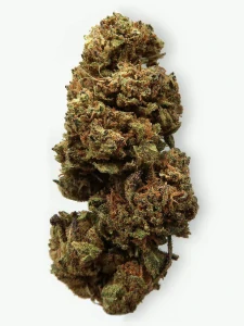 Thunder BERRY