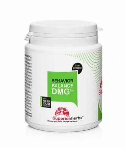Behavior Balance-DMG