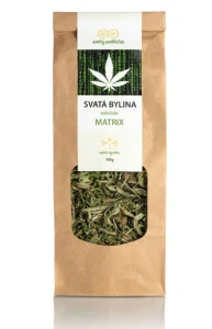 Svätá bylina Matrix, Svatý Sedláček